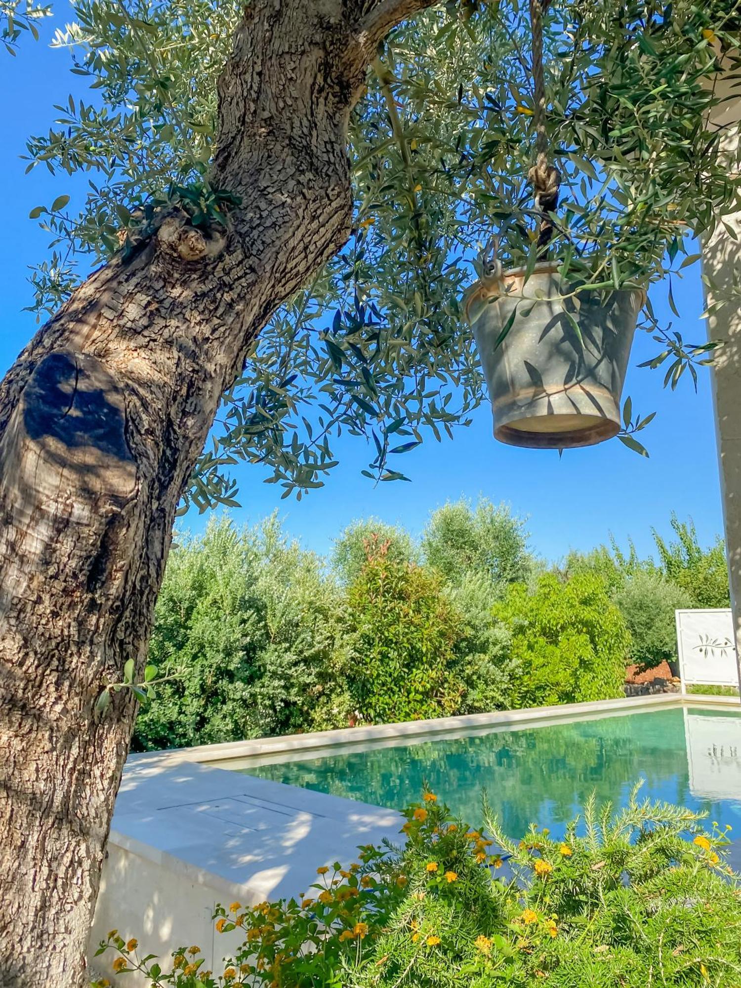 La Mignola Villa Фазано Екстериор снимка